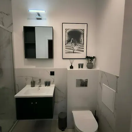 Saint Martin 32 Loft Apartment Posen